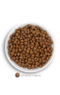 Amanova Puppy Large Exquisite Chicken Low Grain Xira Trofi me Lig Sitira ga Koutabia Meglosomon Fulon me Kotopoulo 12kg 